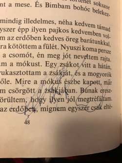 画像8: ズビグニエフ・ルィフリツキ Fülesmackó meséi