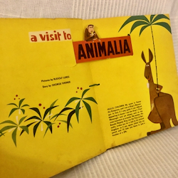 画像2: a visit to ANIMALIA
